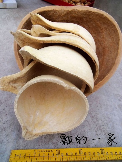 陳壺盧瓢原態